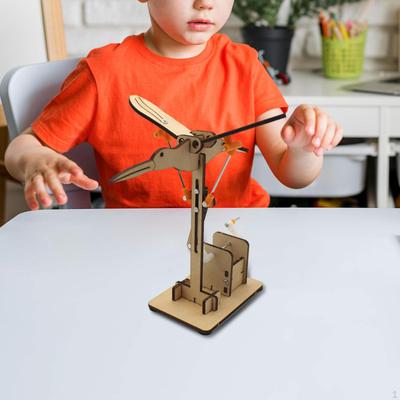 3D Assemble Goose Model DIY Science and Physics Experiment Kit Manual Operates Hobbies Gifts