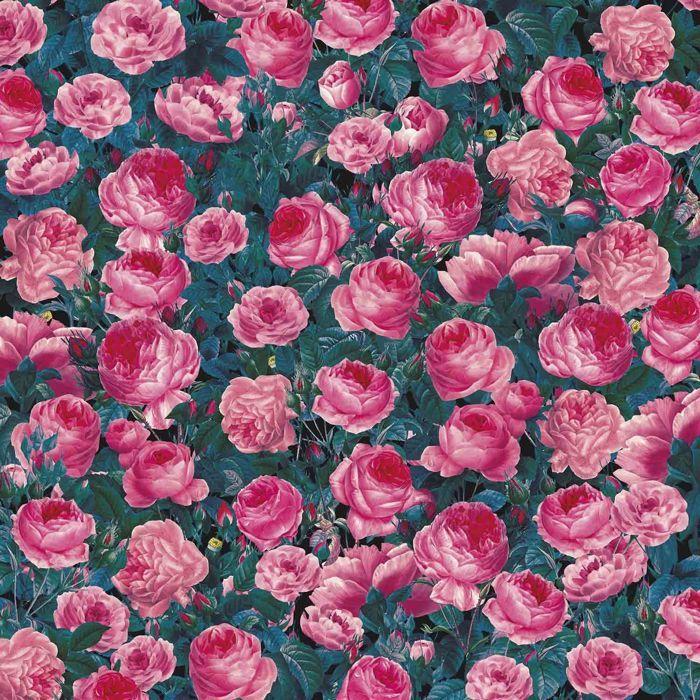 4 Feuilles de transfert - Rosier / Plantes - Cricut