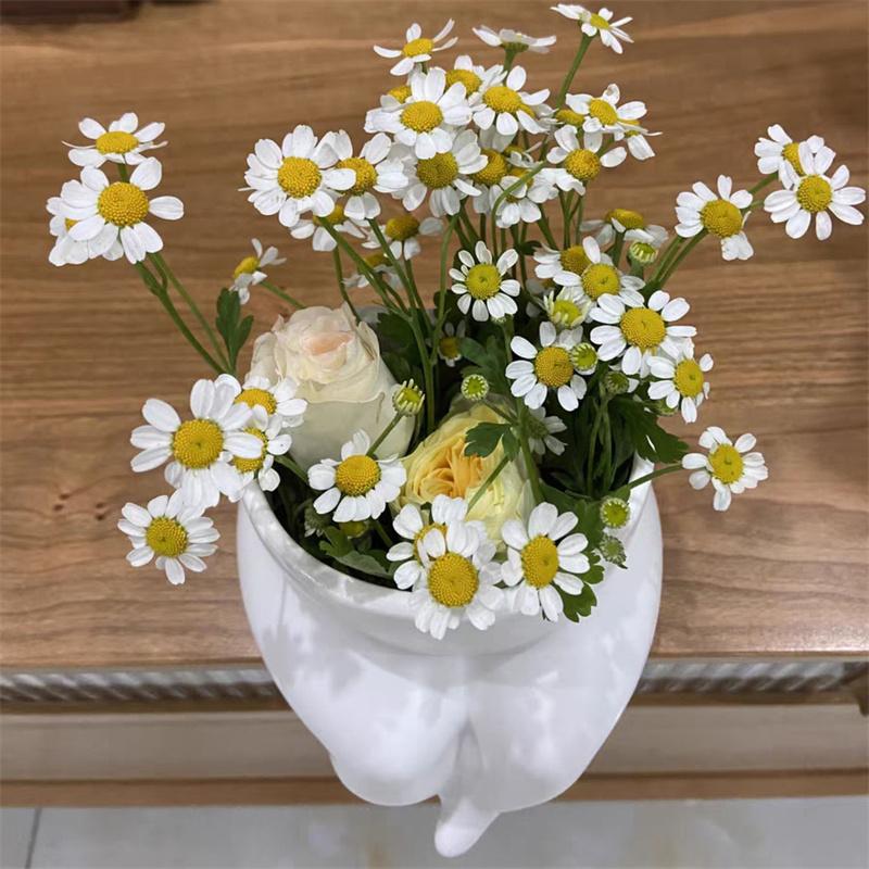 Hydroponic Vase Ass Vase Ceramic Flower Pots Body Art Bust Ceramic Flower Pot Vase Plant Pot Fleshy Flower Vase Home Decoration