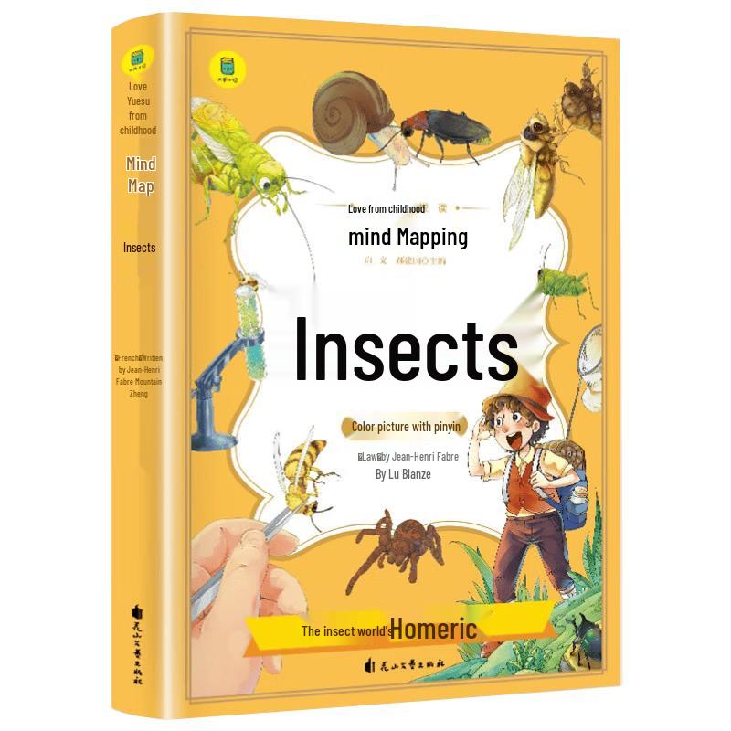 Insect Chronicles: Illustrated Pinyin Mind Map Reader