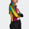 Adidas Originals Gradient Print Sports Casual Fitness Stand Collar Jacket Women Jacket Multicolor GD2496