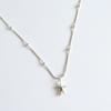 DOL Silver 925 Star Fruit Necklace