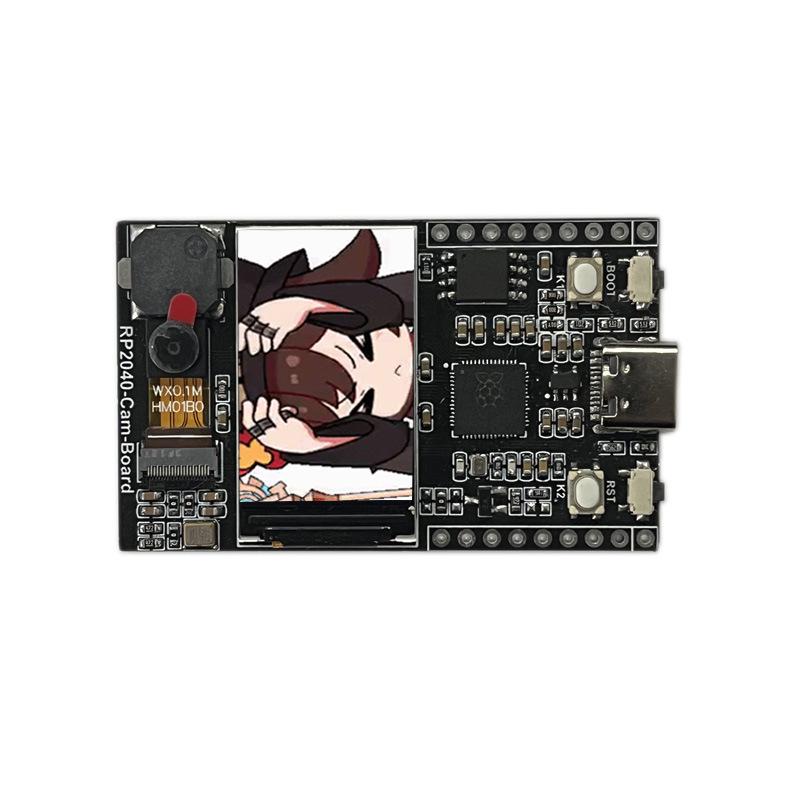 Raspberry Pi Pico RP2040 Board: 1.14" ST7789 LCD, Camera, Buzzer