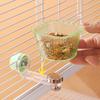 Bird Feeding Station Transparent Magnetic Bird Feeder Anti-Splash Removable Pet Feeder Ledge Anti-Tip Water Dispense Drinking
