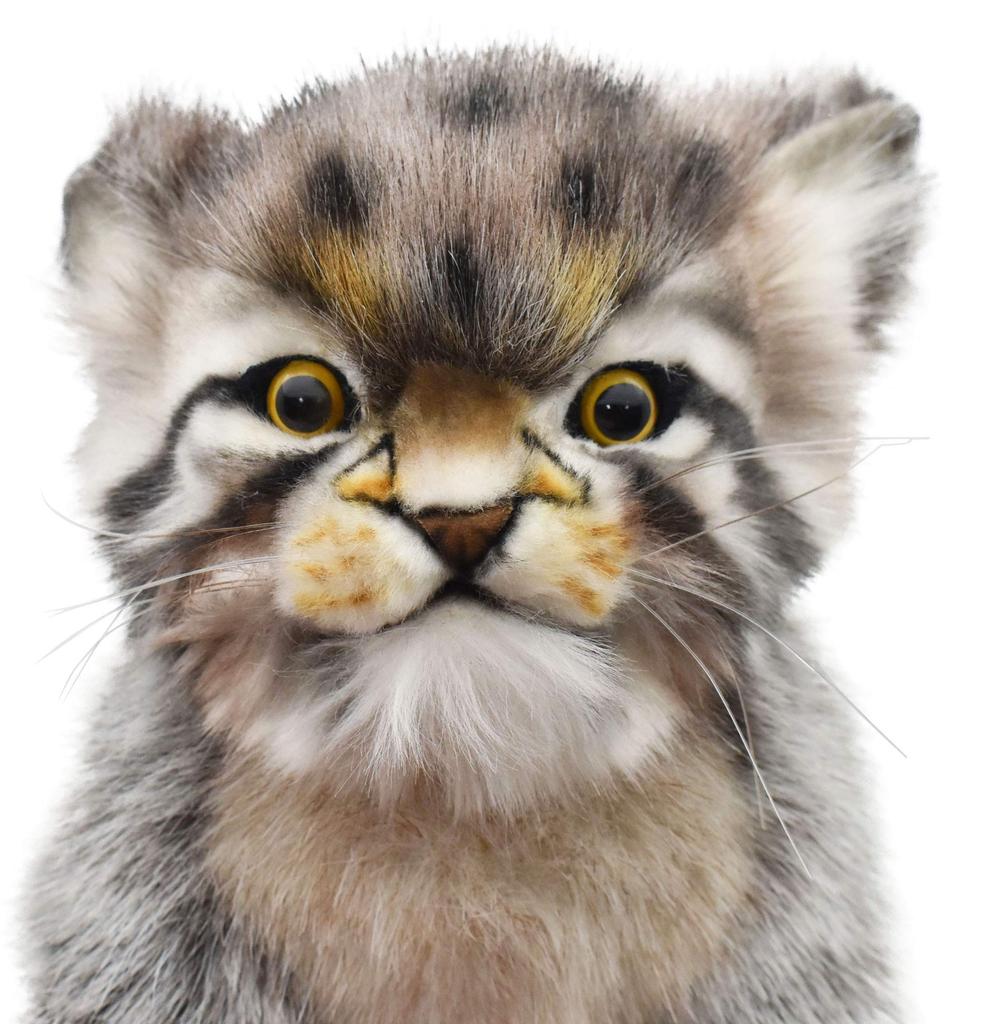 HANSA BH7299 HANSA Manul cat pup 31