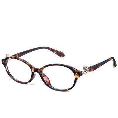 Brillen & Accessoires