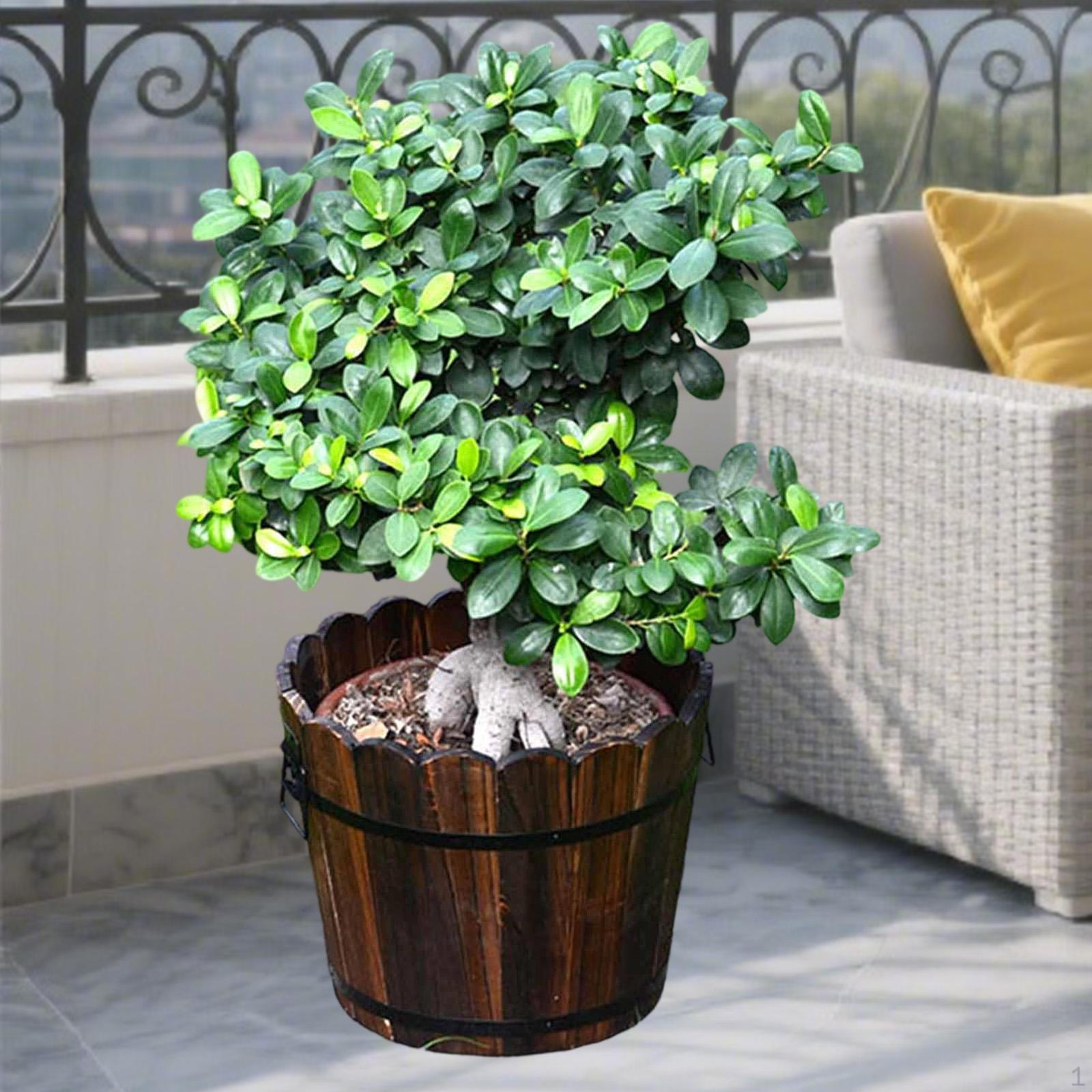 

Wooden Bucket Barrel Planter Flower Holder Gift Unique Versatile Pot Plant Container for