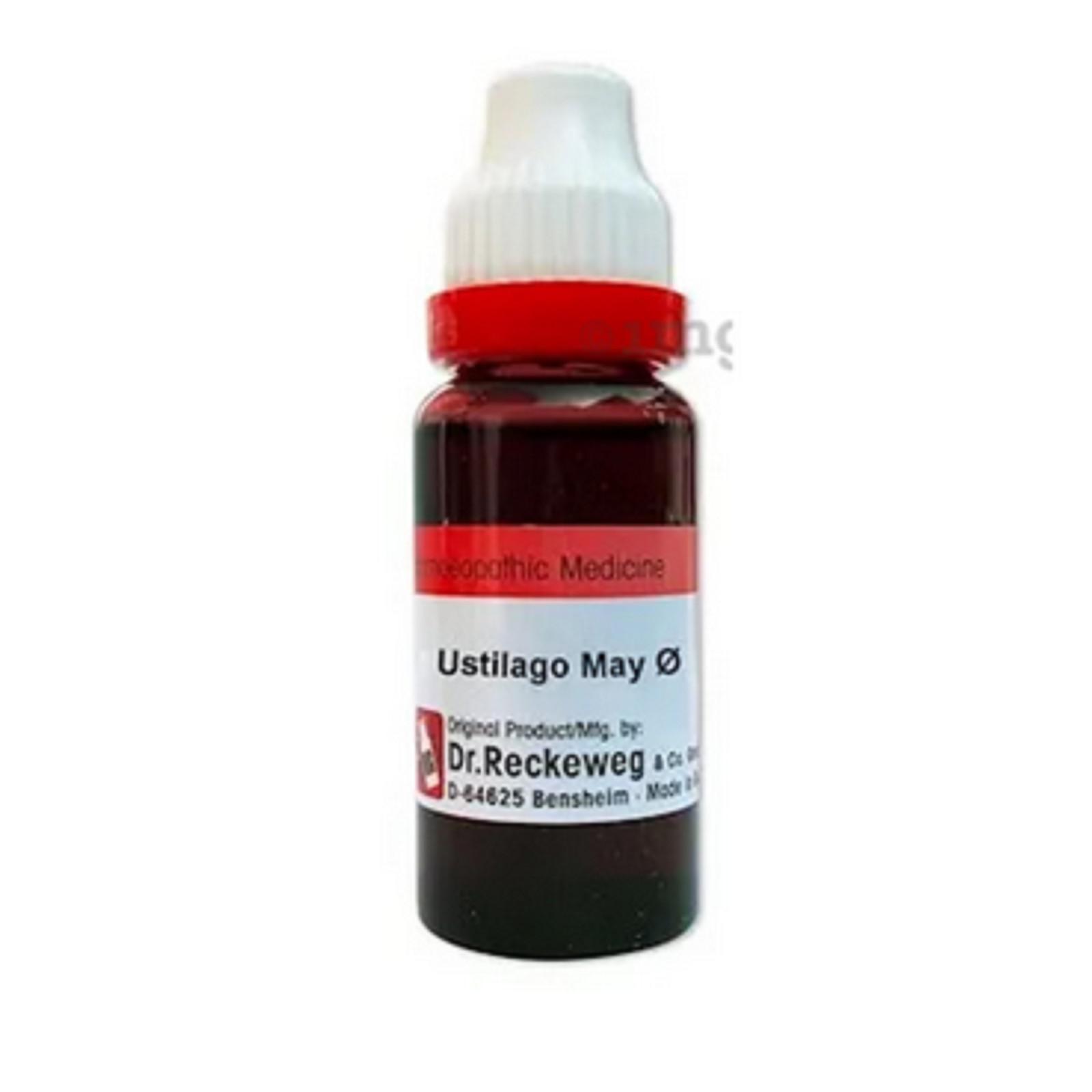 

@ Dr. Reckeweg Ustilago Maydis Q Homeopathic Medicine 20ml d703 MA-34-60%Off