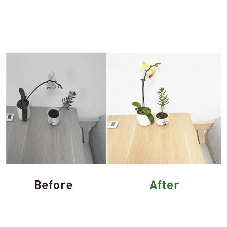 10 STÜCKE Pflanzenstützstäbe Blumenständerstäbe Wiederverwendbare Pflanzenklammern Bonsai Fixierwerkzeug Blumenwachstumshalter Gartengeräte