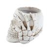 A84E-Home Decoration Skull Flower Pot, Indoor Small Flower Pot, Indoor Plant Mini Flower Pot, Garden Succulent Plant Pot