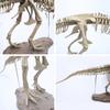 10ml Dinosaur Skeleton Resin Crafts Personalized Desktop Ornaments
