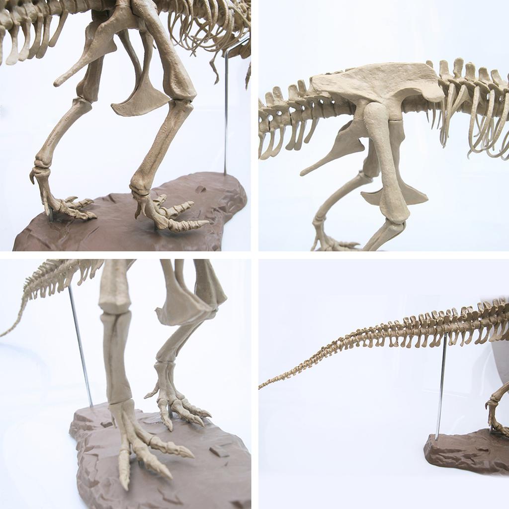 10ml Dinosaur Skeleton Resin Crafts Personalized Desktop Ornaments