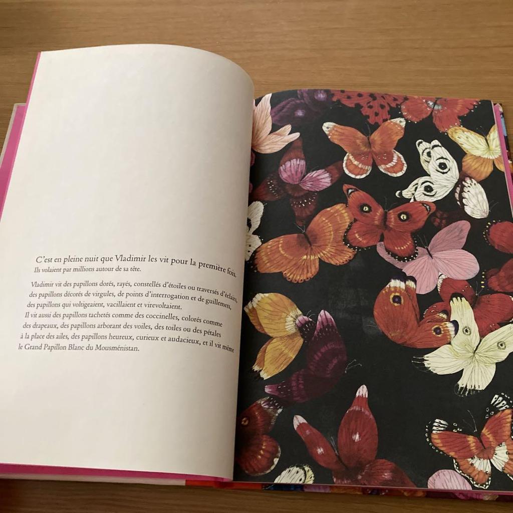 [USED] "Un Million De Papillons" French Picture Book