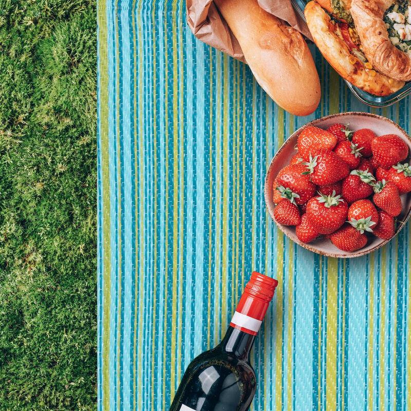 Lion Search Beach Picnic Camping Mat