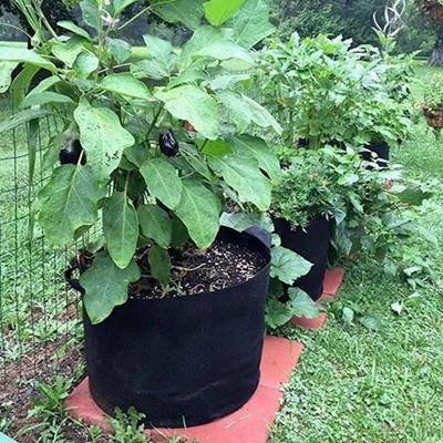 5 Gallon Grow Bag Heavy Duty Non-Woven Fabric Planting Bag with Handles Thickened Grow Pot for Plants Vegetables Strawberries Herbs