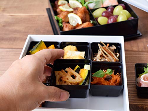 Tableware East Japanese Modern Hors d'oeuvre Square Two-Tiered Box, 18cm, White, with Dividers