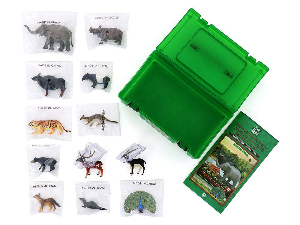 Colorata 3D Animal Encyclopedia Zoogeography Box Oriental Region Real Figure Set 12 Animals with Guide Book