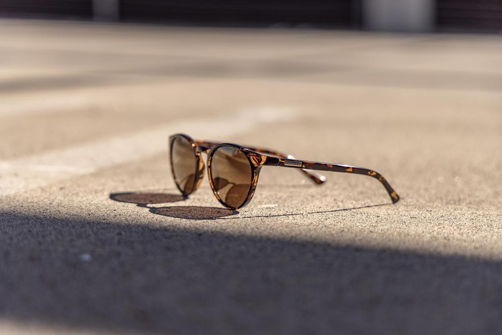 Sunglasses LOW KEY M [SUNCLOUD] Tortoise/Brown