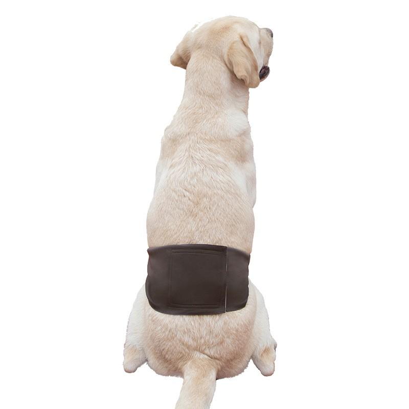 Male Dog Diaper Pants Waterproof Leak-Proof Absorbent Underwear Golden Retriever Large Breeds