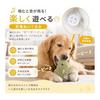 2 Pieces Dog Toy, Chew Toy, Talking Plush, Dinosaur Design, Chew Resistant, Tooth Brushing Prevention, Educational, Stress Relief, Soft Material,