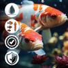 Mersjo Teichpellets MIX 5kg 6mm Schwimmendes Alleinfutter für Koi & Teichfische
