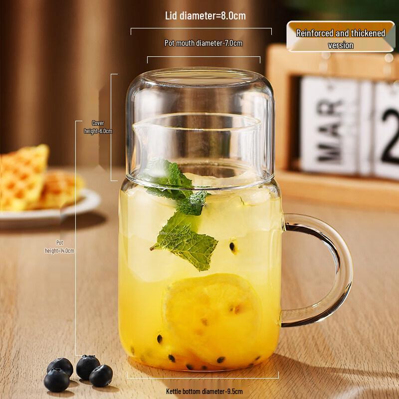 ZISIZ Large Glass Cup with Lid