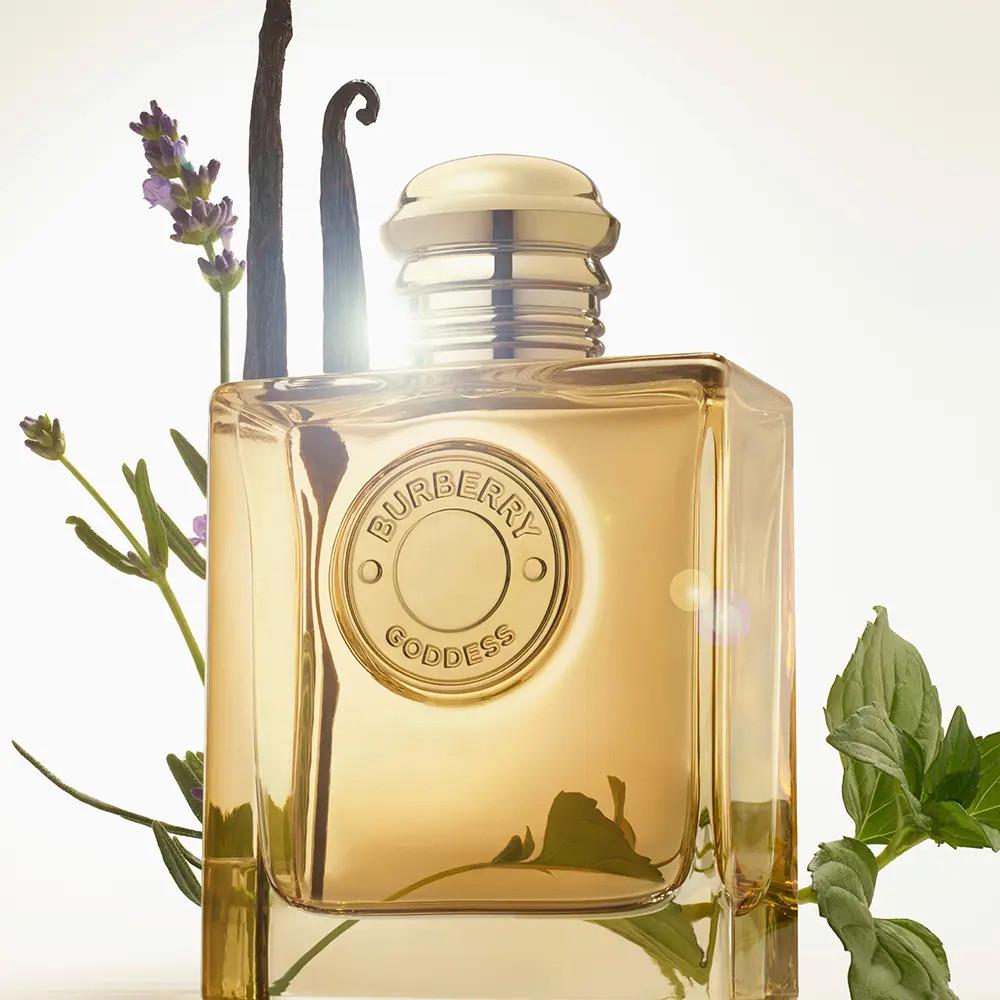 Burberry - Eau de Parfum Goddess Intense 50 ml - 