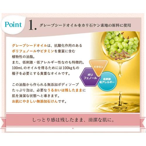 Additive-free Body Soap with Soap Bubbles, Plenty of Foam, 570mL, Easy To Wash Your Hands