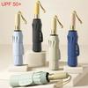 Accesorii – Umbrele