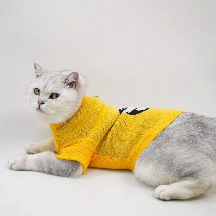 Pet it cat clothes autumn and winter pet sweater warm cute cat clothes hairless German puppet cat dog universal