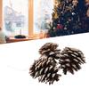 Natural Wood Powder Substrate DIY Pine Cone Set of 6 Small Christmas Craft Decoration Pine Cones Exquisite and Decorative