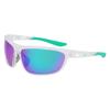 Nike Mens Windtrack Sunglasses