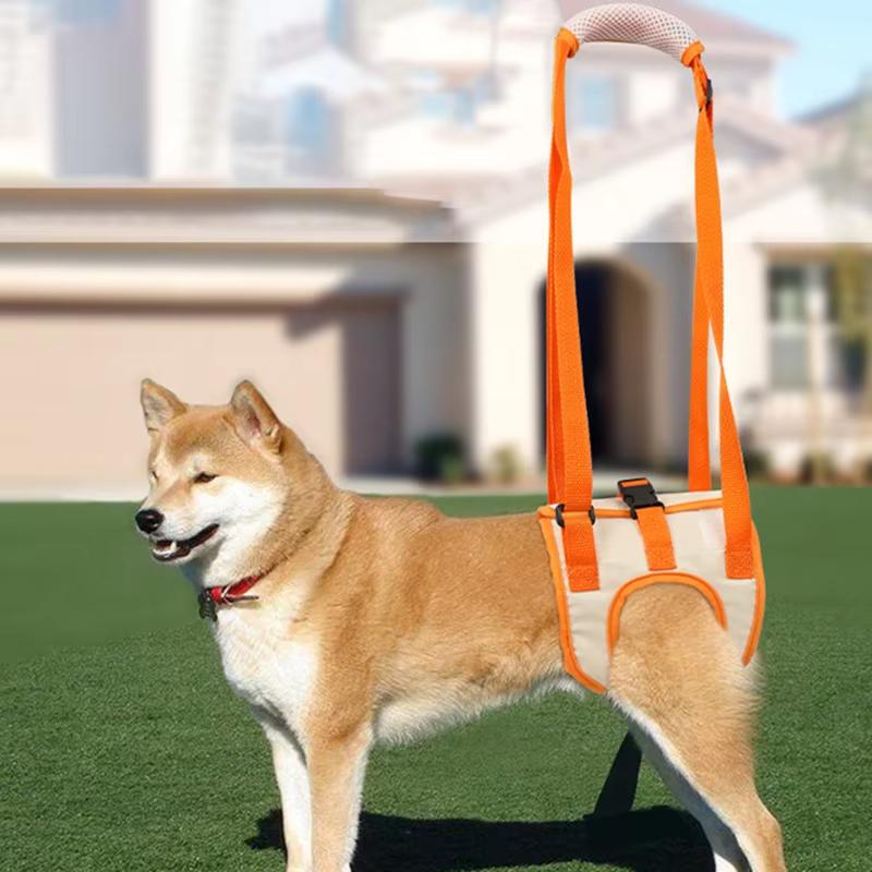 Supporto Regolabile per Anca e Zampe Posteriori per Cani, Imbracatura di Sollevamento per Cani, Accessori per Animali Domestici per Aiuto Canino e Riabilitazione dei Legamenti
