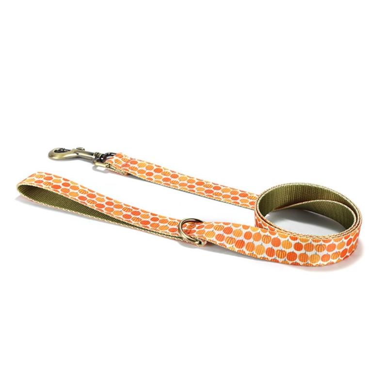 Dog Lovely Pumpkin Collar Leash Comfortable Dog Collar Leash for Medium Dogs Leash Harvest Theme Leash
