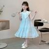 Magical Childhood Girls' 2026 Summer Princess Dress