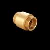 Castware Brass Check Valve