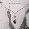 Anatomy Heart Necklace with Elegant Crystals for Trendy Women Seek Unique and Passionate Gothic Jewelry Accessories