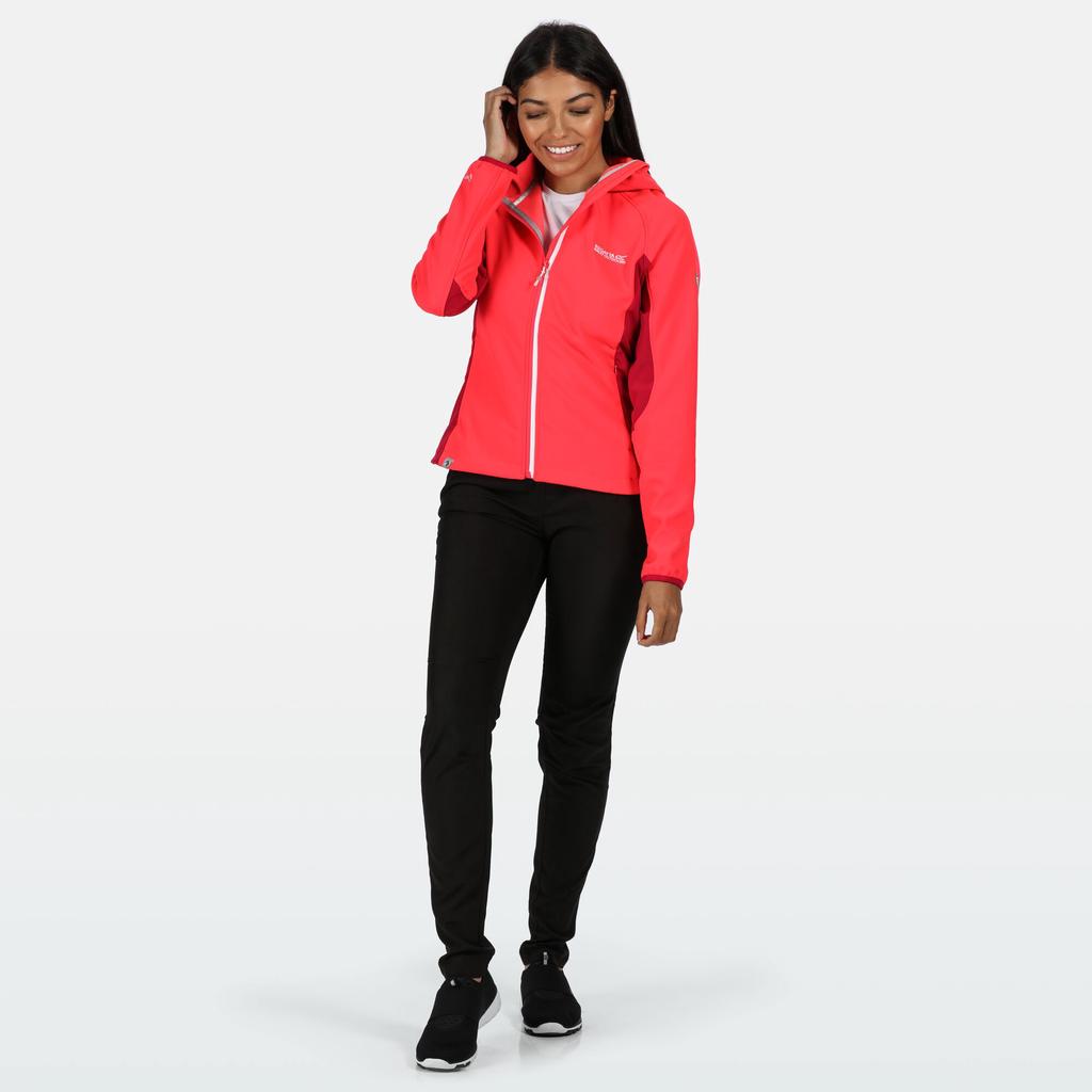 regatta arec softshell