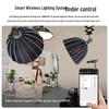 JINBEI JL160W LED Photography Light Kit