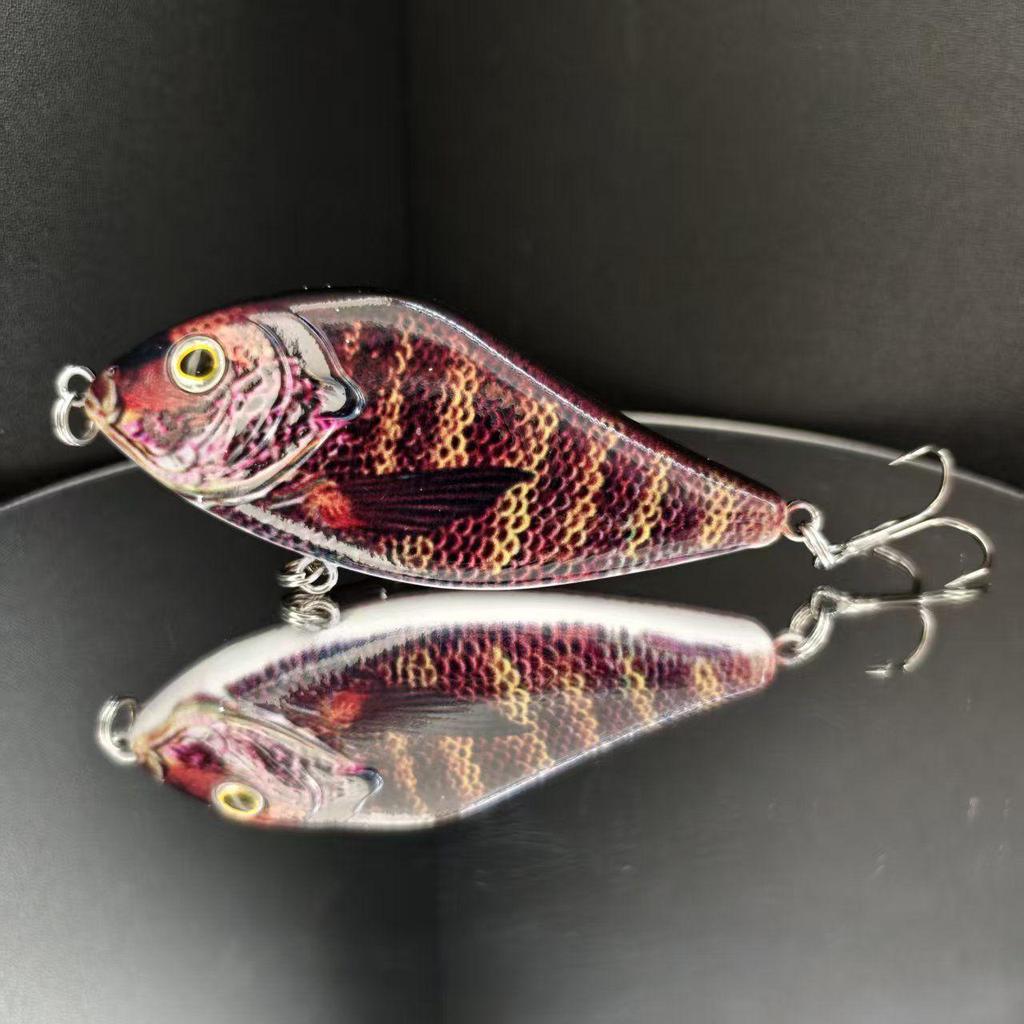 10cm 45g Sinking Pike Jerkbait – The Ultimate Predator Lure,Suitable for Both Saltwater and Freshwater