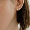 MARQUEMENT 14k Raina Ribbon Earrings