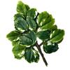 12pcs Artificial banyan Leaf Foliage Stems Fake Greenery Plant for Wedding Outdoor Landscape Tree Making Floral Decoration