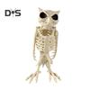 Halloween Skeleton Owl Decoration Realistic 12" Skeleton Animal Figure Plastic Owl Bone Model for Haunted House Party Decor