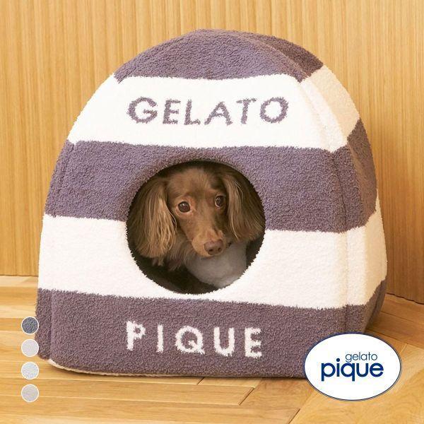 Gelato Pique CAT&DOG Limited Edition Baby Moco House gelato pique