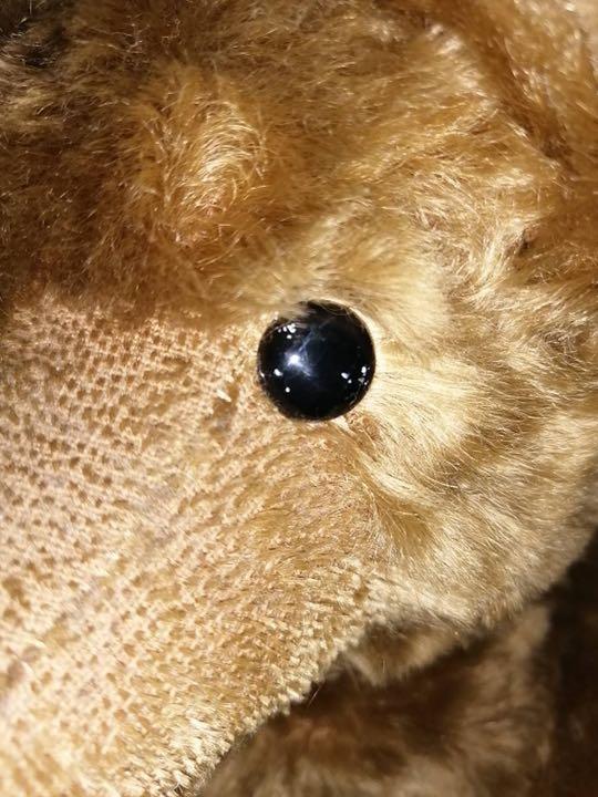 [USED] Teddy bear/Made in England