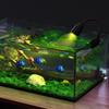 Super Slim Aquatic Plant Lighting 3W Power Clip-on Lamp Fish Tank Light  Aquarium Decoration