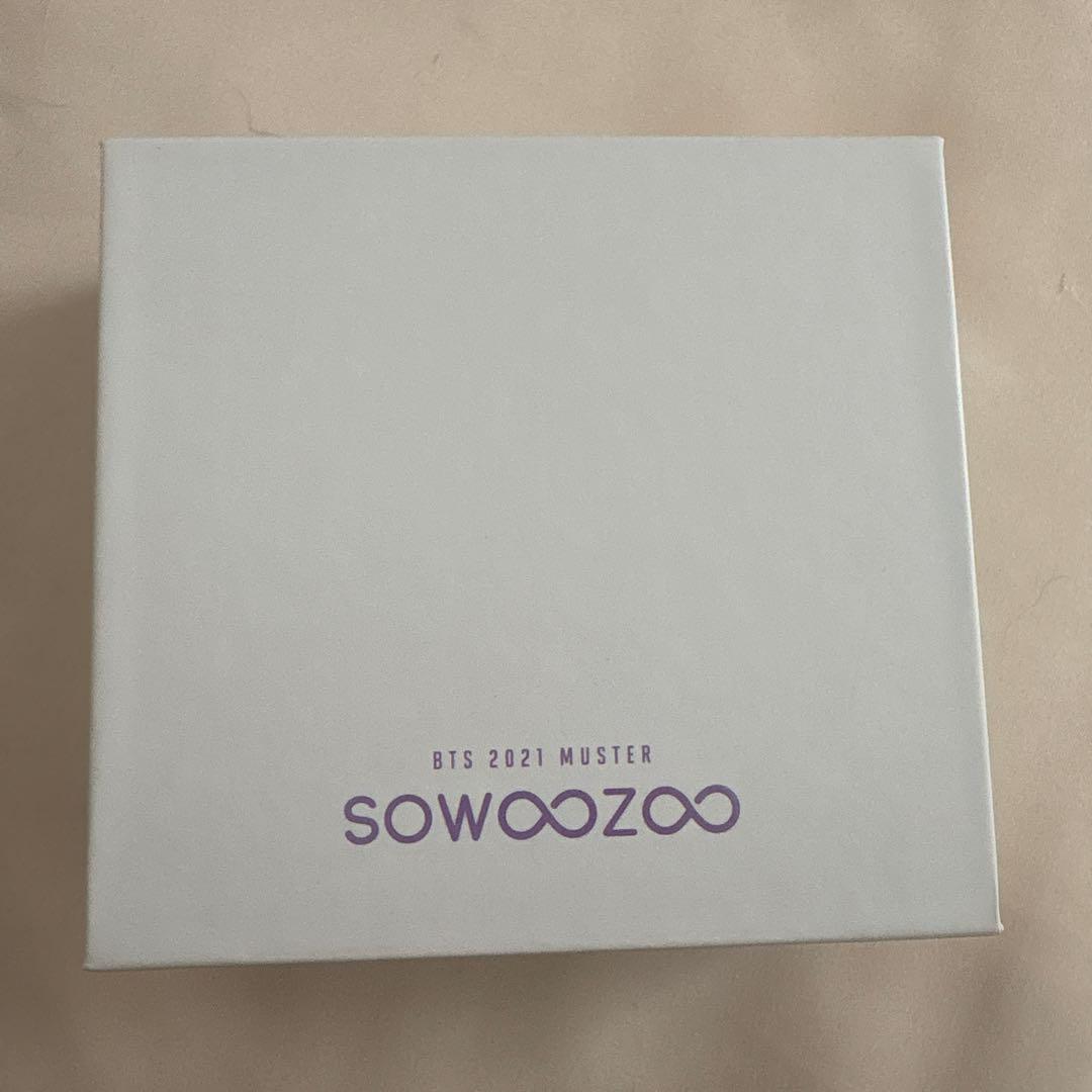 

[USED] BTS Souju earrings