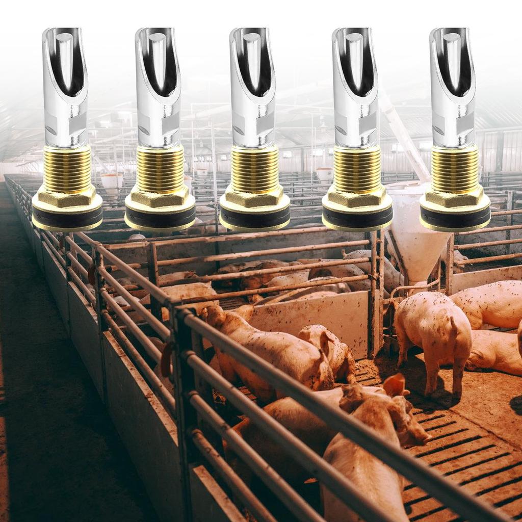5 Pieces Multipurpose Pigs Nipple Waterer Stainless Steel Automatic Drinker Set for Barrels with Tanks Connectors