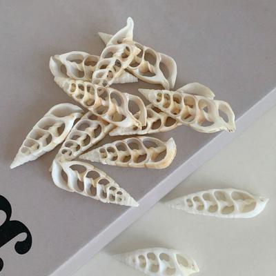 Conchiglie Tagliate al Centro Conchiglie Marine Naturali Tagliate al Centro Fette di Conchiglia Pre-tagliate per Artigianato Fai-da-te Carillon Decorazioni per la Casa Costiera Gioielli Nautici