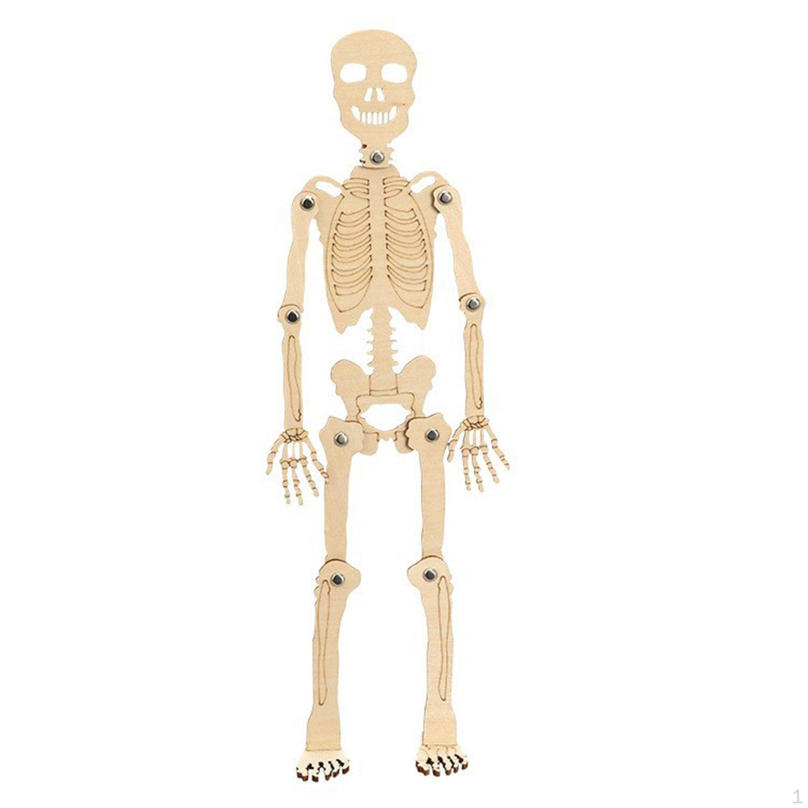 Science Toy 3D Puzzle Durable Human Skeleton Model Kids Educational Handmade Material